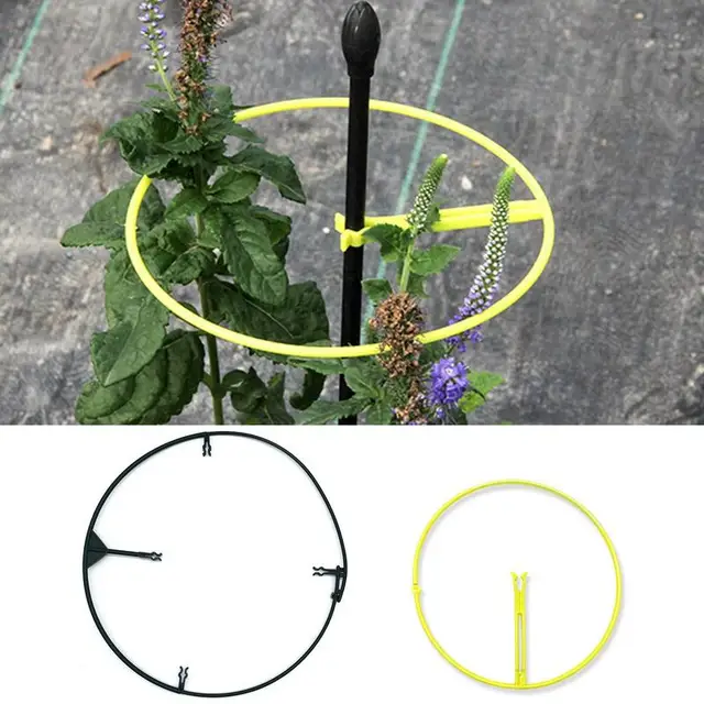 Szőlő Hegymászó Állvány Kerti Növényi Üzem Tartó Tányéri Virágnövény Rácsos Támogatás Kert Dekoráció Kertészeti Szerszám Ellátás - Image 2