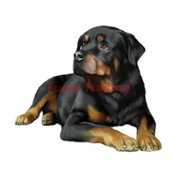 Fuwo Trading – autocollants de voiture imperméables, autocollants réfléchissants, chiens mignons animaux, style de voiture, porte fenêtre de maison 
