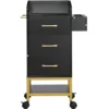 VEVOR Beauty Salon Storage Trolley Cart, Glass Top Hair Salon Station Cabinet for Stylist with Drawer & Dryer Holder 1