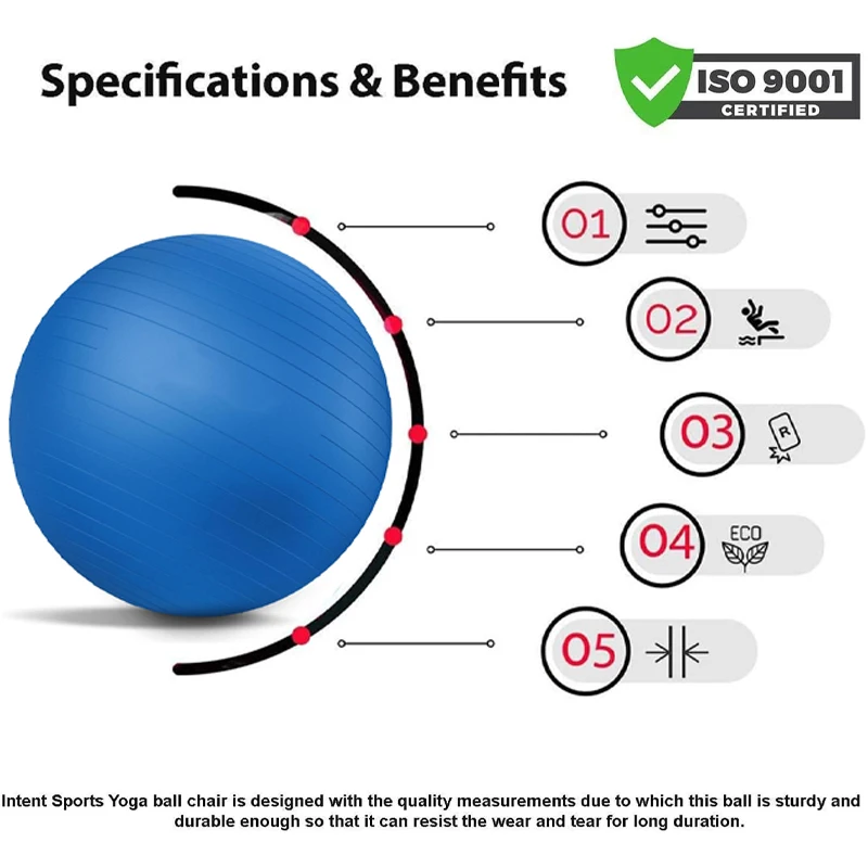 Yoga Ball Exercise for Working Out Birthing Ball Balance Stability Fitness for Pilates Core Training Physical Therapy Stretching