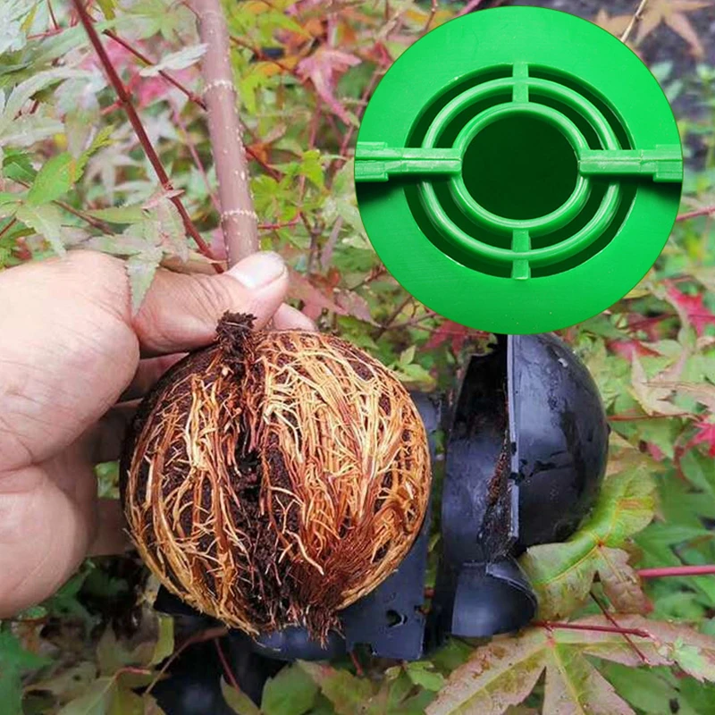 Plant Rooting Ball Propagation Rooting Box Reusable Plant Root Growing Box Cuttings Grafting Propagation Pots Plant Propagation Pots Plant Rooting Ball 10Pcs