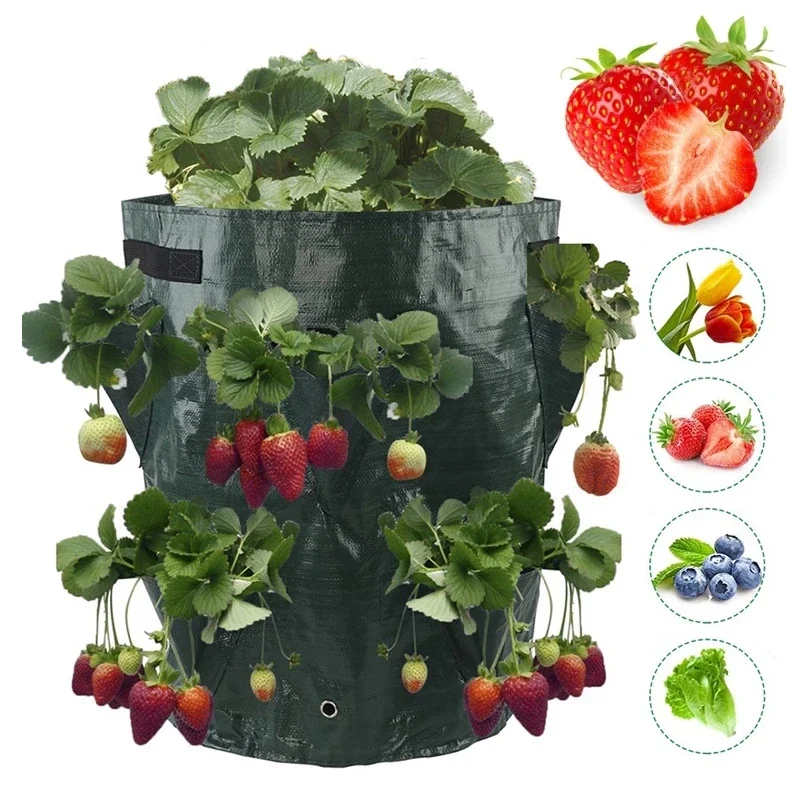 5/7/10Gallon Multi-Mouth Grow Bag Strawberry Tomato Planting Bags Reusable Planter Pots Garden Vegetable Flower Herb Planter