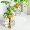 Nordic Style Glass Vase Home Decoration Hydroponic Vases Transparent Tabletop Flower Decor Ornament Hydroponic Plant Bottle Cork 1