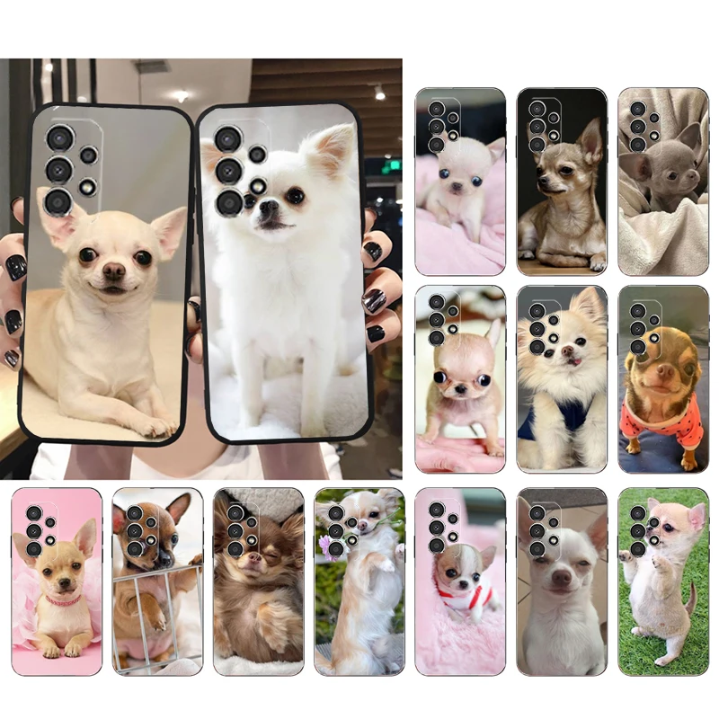 

Chihuahua Dog Phone Case For Samsung A73 A13 A14 A32 A71 A33 A52 A53 A72 A51 A22 A23 A34 A54 A52 Shell