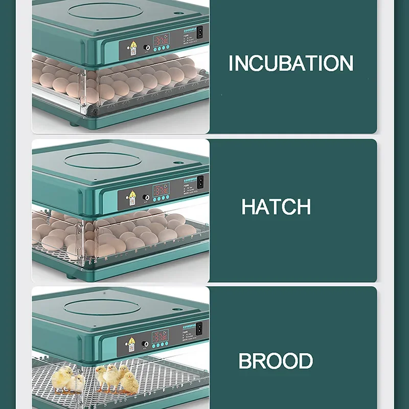 

And Incubator Peacock Fully Mini Goose, Duck, Parrot Household Pigeon, Automatic Power Intelligent Chicken, Egg Double