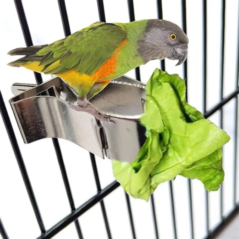 Birds Food Holder Pet Parrot Feeding Fruit Vegtable Clip Feeder Device Pin Clamp Durable Household Supplies Bird Cage new