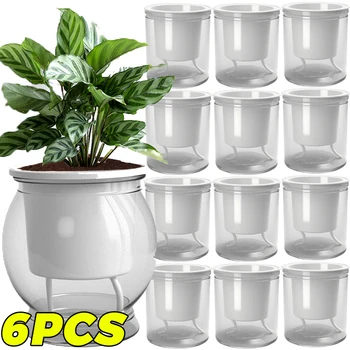 Buy Sc736e6e927d649c8b5da4e5625d03015r. in Australia.