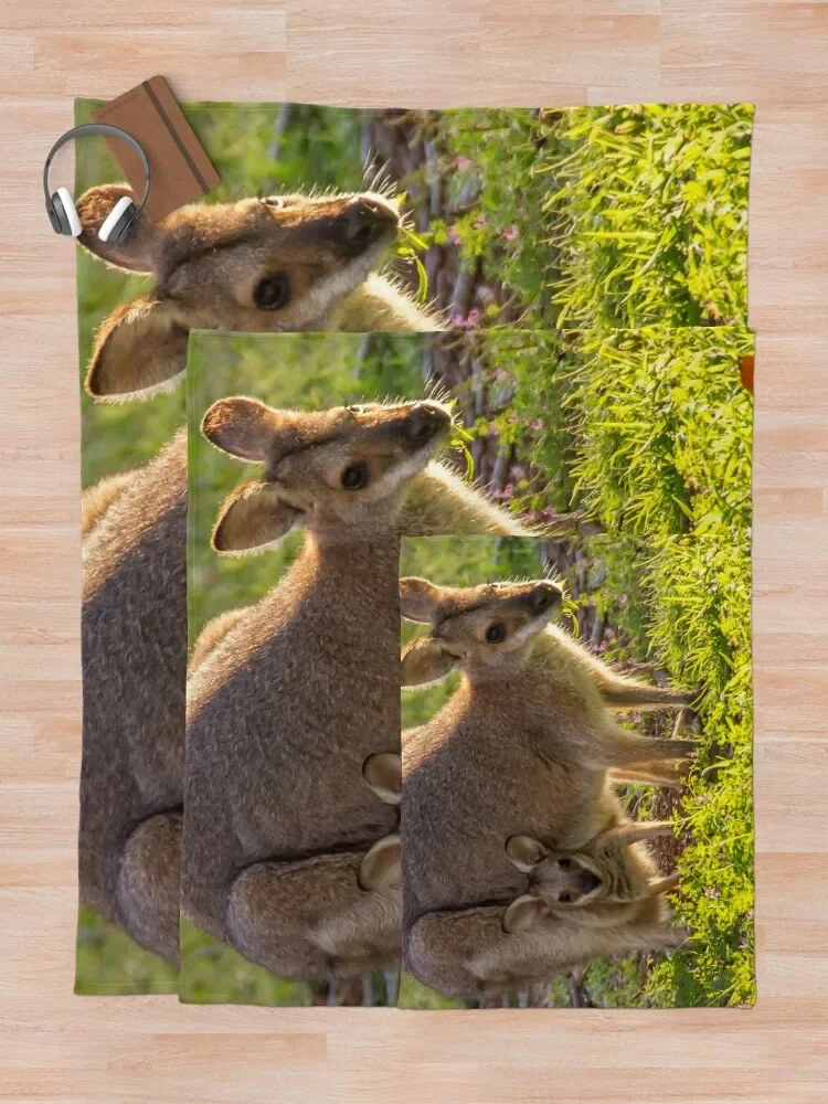 Ļ�ŷ� ������ ���, ��� ���� �� ���