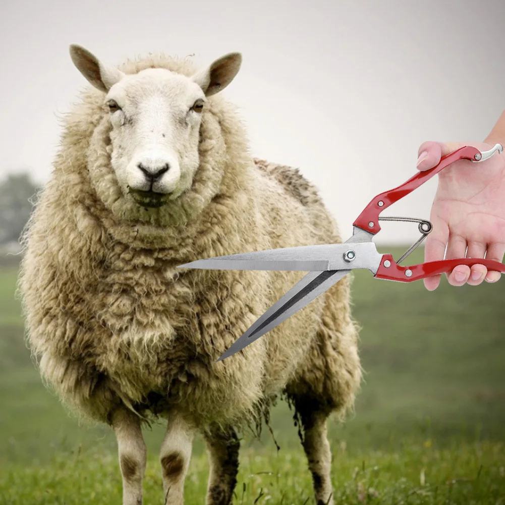 Sheep Clipper Sheep Shear Multifunctional Manual Stainless Steel Wool Shear Trimming Scissor with Spring Scissor sheep clipper