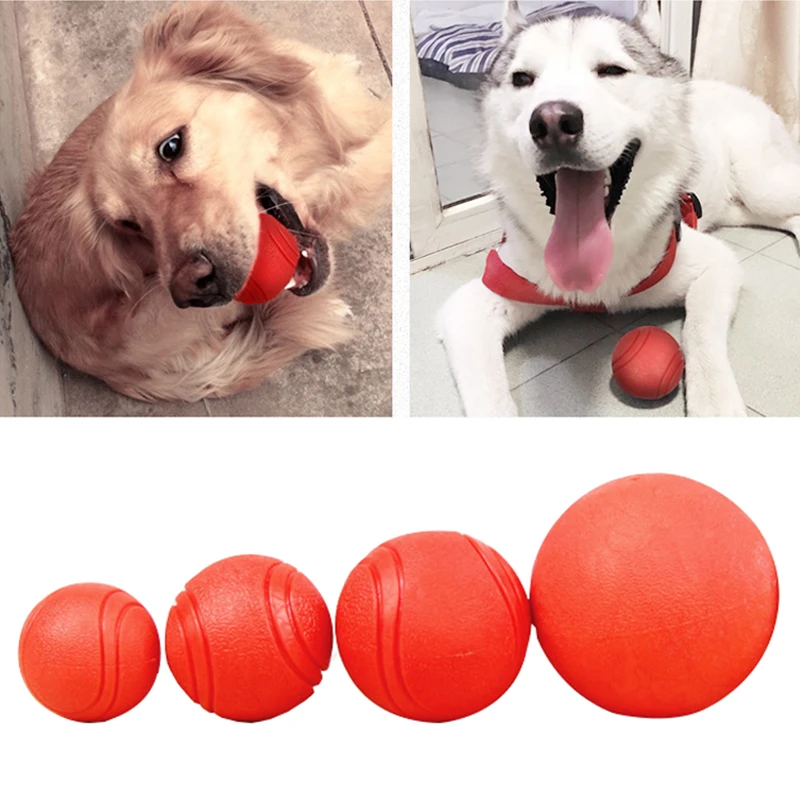 smal statistieken kalf Hond Speelgoed Rubber Bal Speelgoed Voor Kleine Medium Grote Honden  Bijtvast Honden Puppy Play Training Speelgoed Chihuahua Pitbull  dierbenodigdheden|Honden Speelgoed| - AliExpress