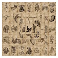 10/30/56pcs Anatomy and Physiology The Body Structure Stickers PVC Waterproof Toy Graffiti Skeleton Stickers For Luggage Decals 1