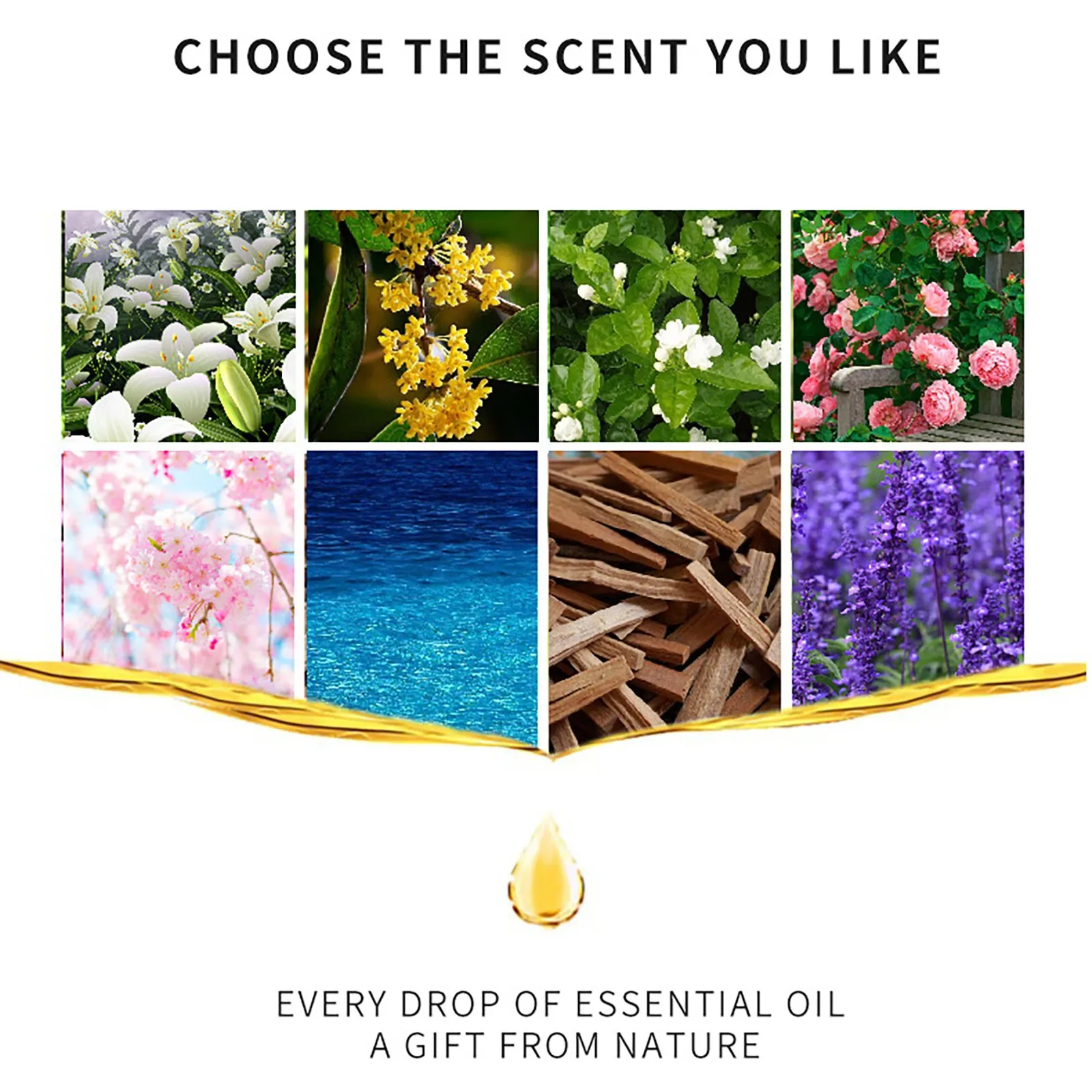 10ml Water-Soluble Aromatherapy Oil 19 Kinds of Scents Cozy Home Atmosphere Suitable for Humidifiers Flameless Diffusers home fragrance products