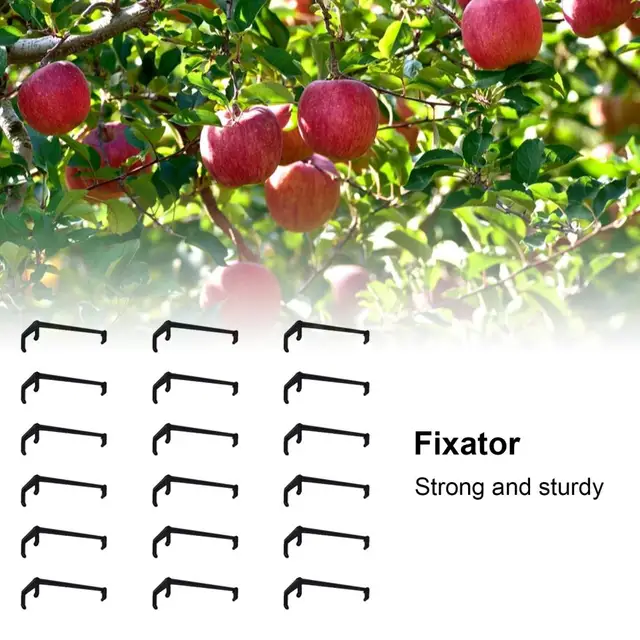 100Db/Táska Kerti Ág Szóró Egyedi Széles Körű Alkalmazás