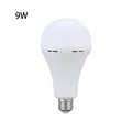 9W white light