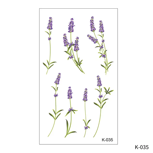 Image 41