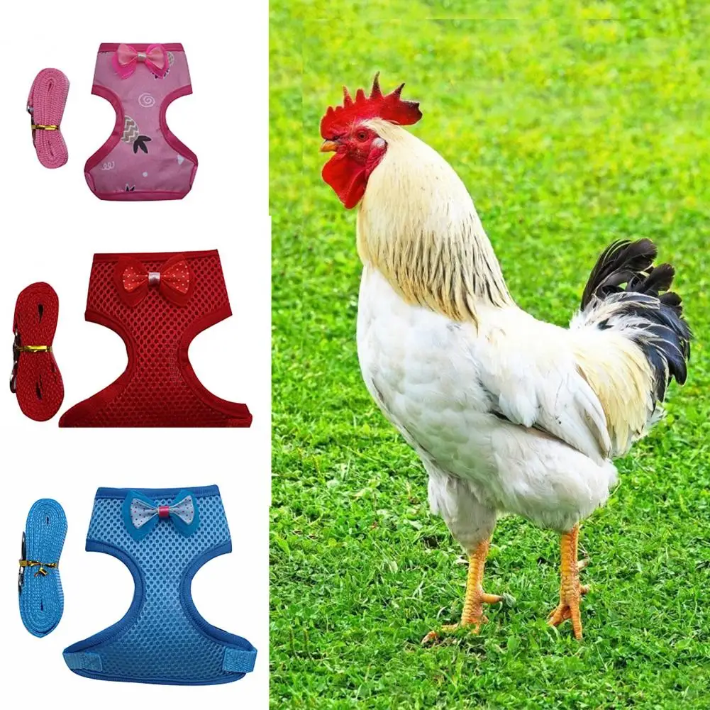 Wear-resistant pet harness bowknot decor 2 sizes traction rope 5 colors for chicken