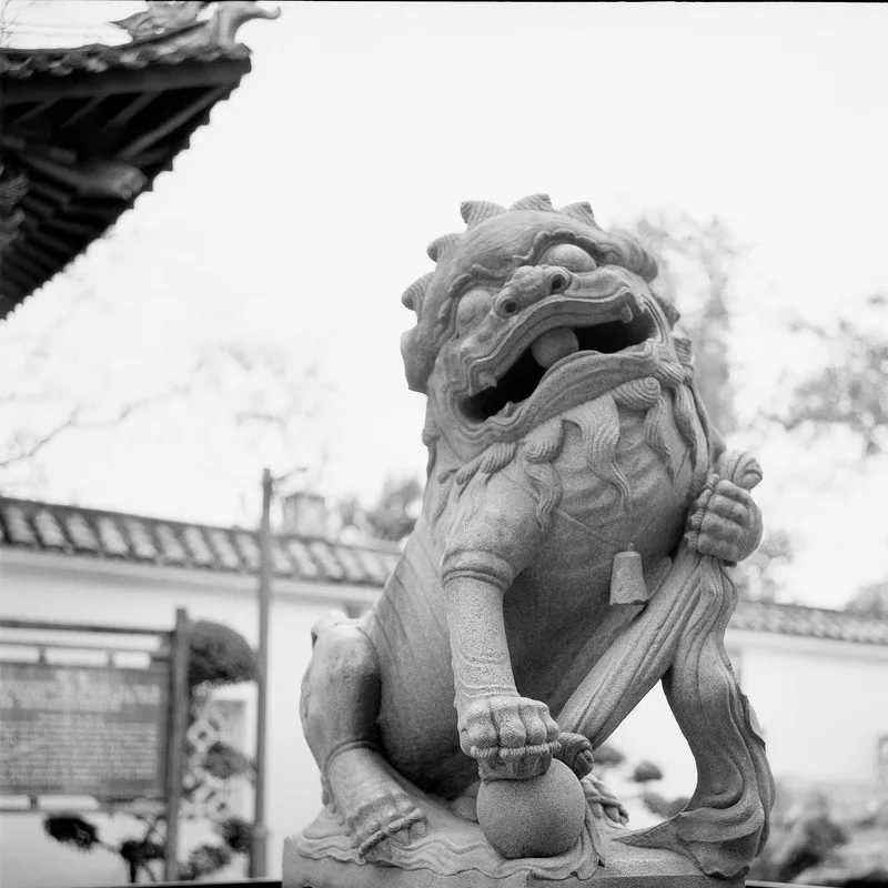 Rollei RPX 100 120  Black And White Negative Film（36 ExposuresRoll）1-8 Rolls For 120 Film Camera  (Expiry Date:  2026)