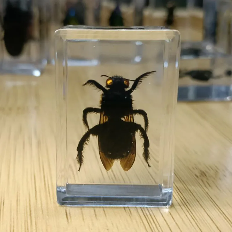 27 Kinds Hand Made Gutta Percha Resin Insect Transparent Amber Insect Specimens Home Decoration Small Ornaments miniature glass animal figurines Figurines & Miniatures