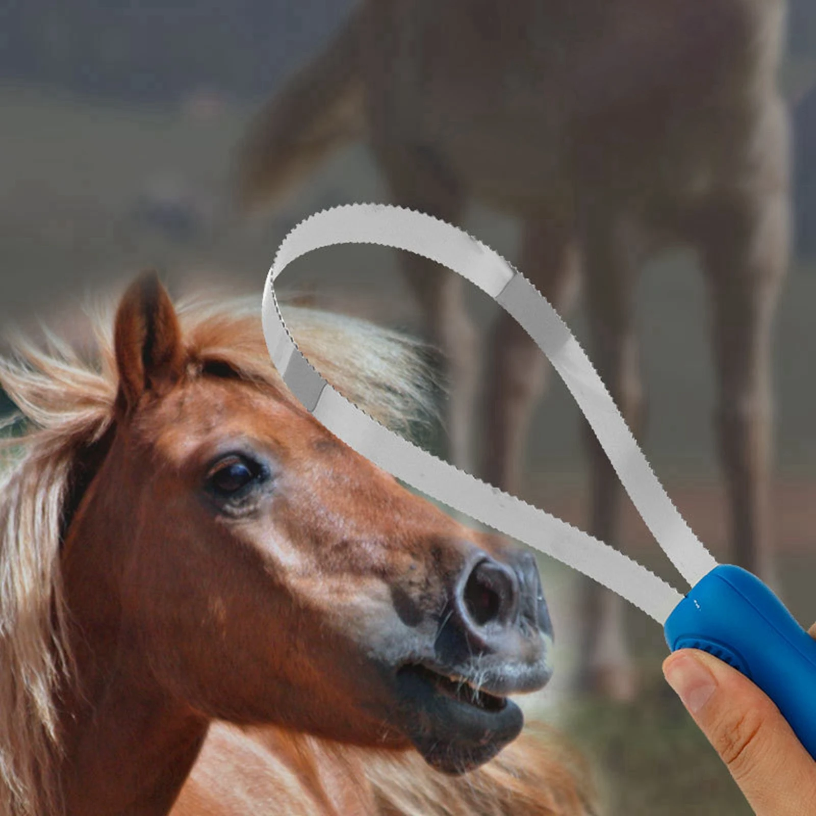 Horse Brush Scraper Sided Shedding Blade Stainless Steel Shedder Sweat Scraper Tool Horse Care Grooming Cleaning Tool 2