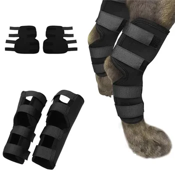 Pet Knee Support Braces 1
