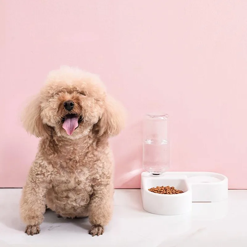 Title 6, Pet Dog Bowl Puppy Cat Feeding Stainless Steel ...