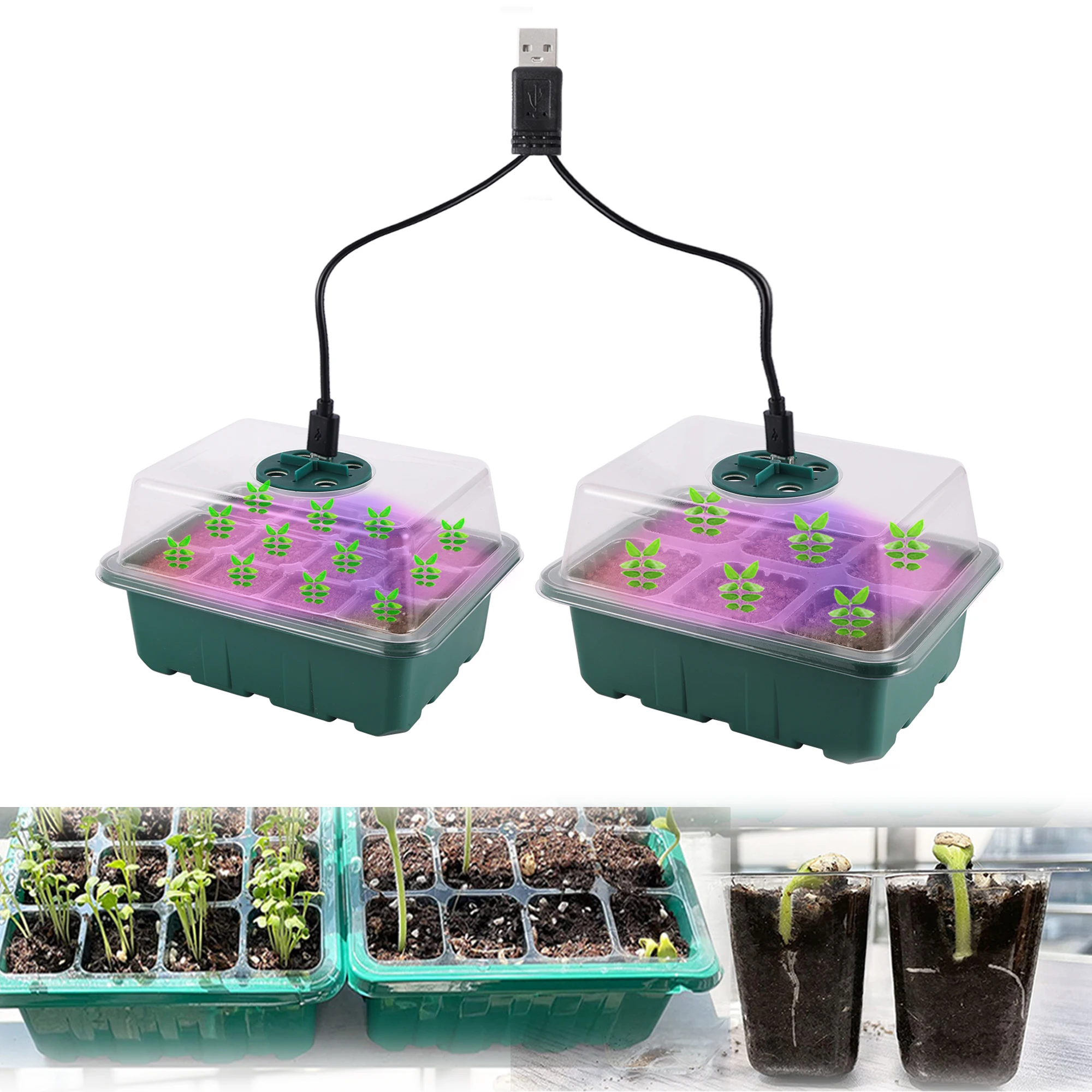 Plastica spessa] Set di 3 vassoi per semi robusti con cupole di umidità da 12,7 cm per partenza di semi, germinazione, propagazione di piantine e