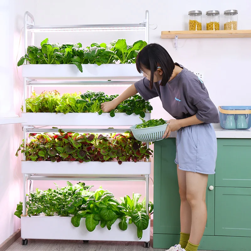 

Intelligent Planter for Multi layer Vegetable Planting Machine, Balcony, Indoor Hydroponic Water Tillage