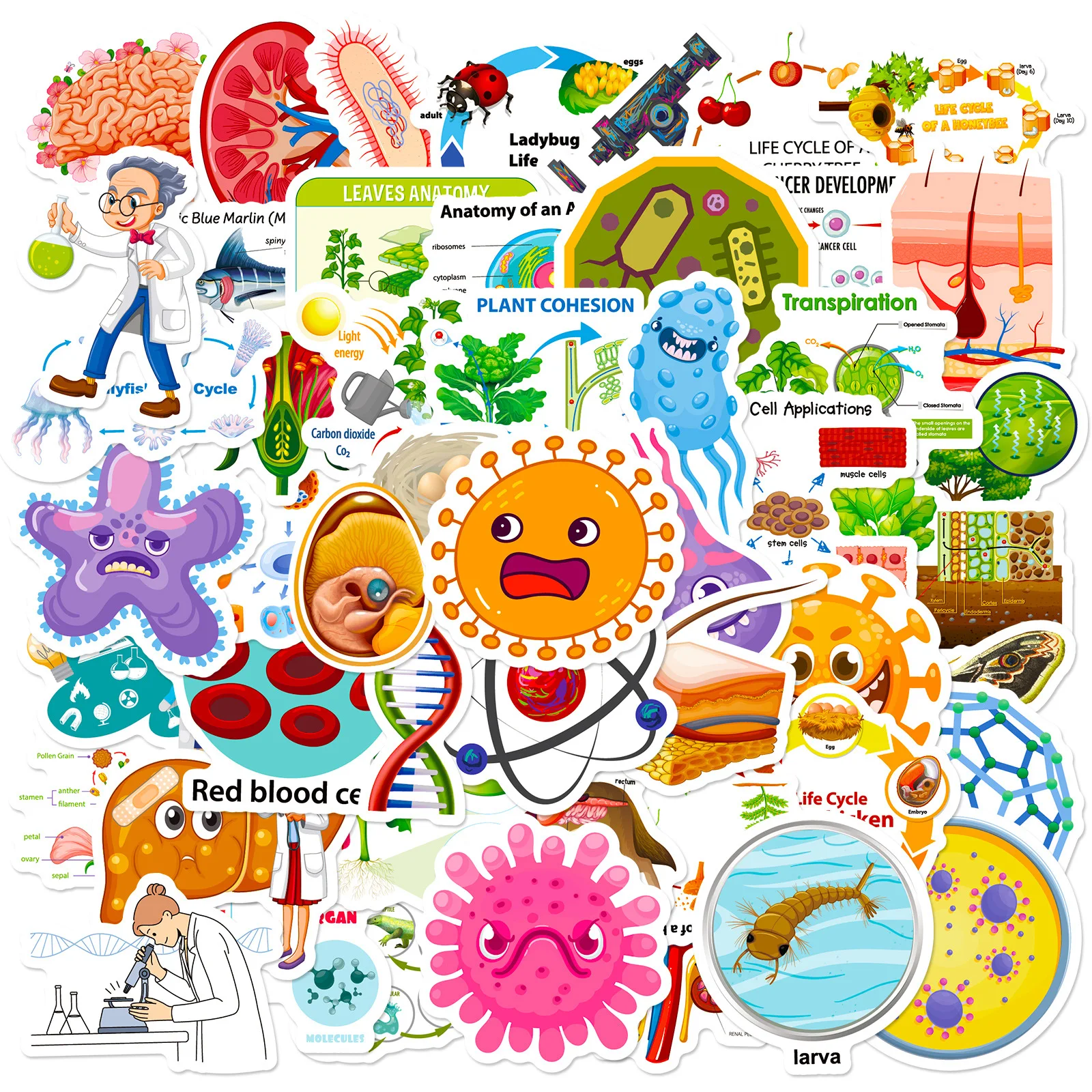 50pcs Creative Biomedical Series Graffiti Stickers for Laptop Helmets Desktop Decoration Stickers DIY Toys