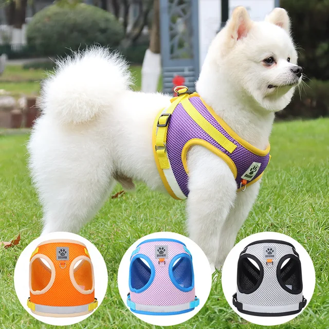 Puppy Dog Harness Leash Rope Set Breathable Summer Mesh Cat Dogs Harness Vest Reflective Pet Cat Chest Straps Chihuahua Yorkies Puppy Dog Harness Leash Rope Set Breathable Summer Mesh Cat Dogs Harness Vest Reflective Pet Cat Chest Straps Chihuahua Yorkies