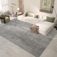 Modern Minimalist Bedroom Decor Solid Color Carpet Home Washable Mat Large Area Study Rug Light Luxury Carpets for Living Room 2