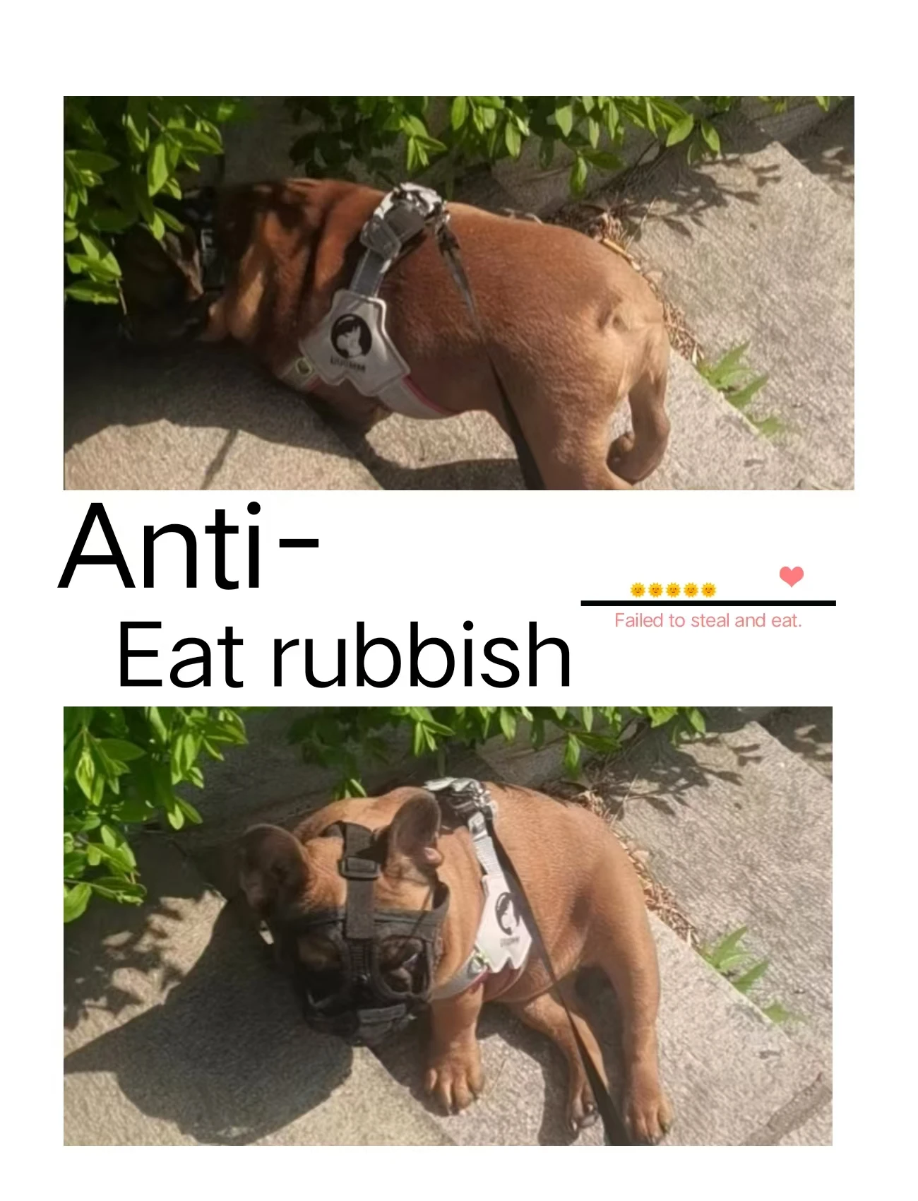 Pet Dog Muzzle Bulldog Mask Short Mouth Dog Anti biting Anti eating Anti barking Adjustable Breathable Universal Pet Supplies