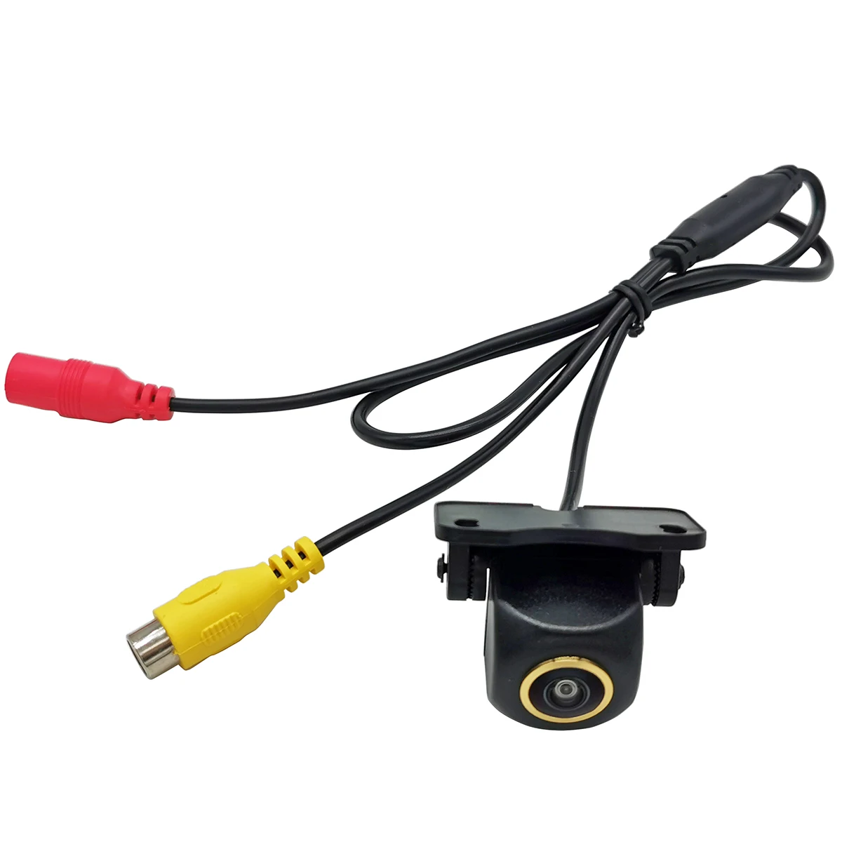 Chiroyli külotlarda chiroyli ayollar dumbalari