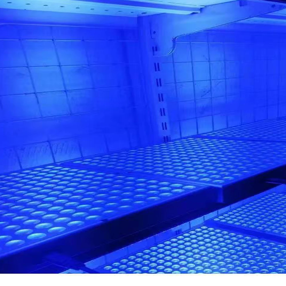 Ultraviolet Tanning Lamp 45W Tripod Solarium Lamp for Tanning Body 225leds Blue Light Wavelength 460nm & 480nm Skin care