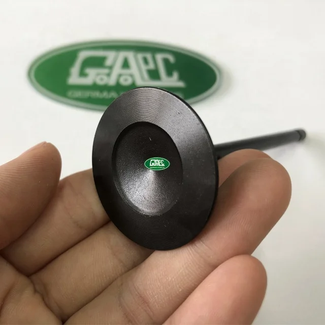 5.0L V8 Petrol LR010699 Intake Inlet Valve GL1515 For Vogue 2010-2012 Sport For Discovery 4 Parts