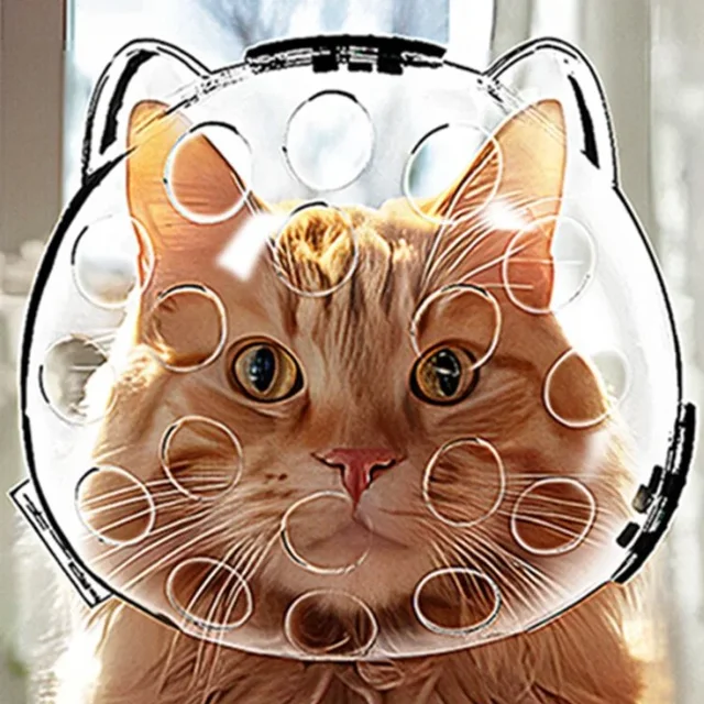 Cat Head Cover Portable Transparent Prevent Biting and Scratching Breathable Safety Travel Cat Carrier Bag Cats Pet Products Cat Head Cover Portable Transparent Prevent Biting and Scratching Breathable Safety Travel Cat Carrier Bag Cats Pet Products