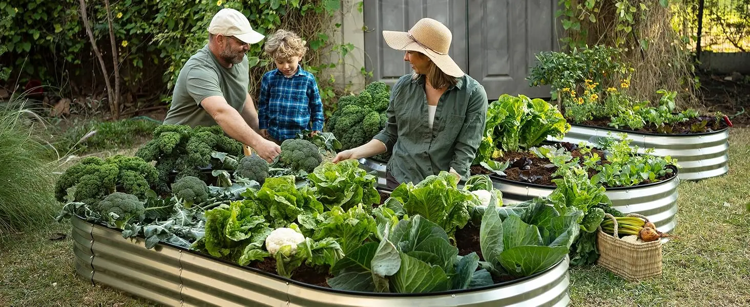 raised garden bed outdoor