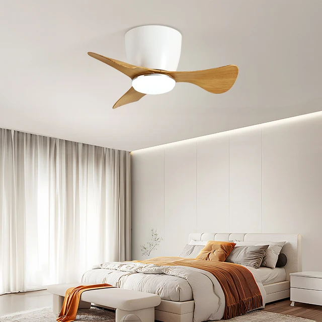 Ceiling Fan Led Light | Small Ceiling Fan - ® 22-inch Led Light Ceiling Fan  Lamp Room - Aliexpress