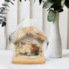 Micro Landscape Ecological Bottle Terrarium Glass Florarium Plants for Flower Pot Succulent Vase Flowers 6