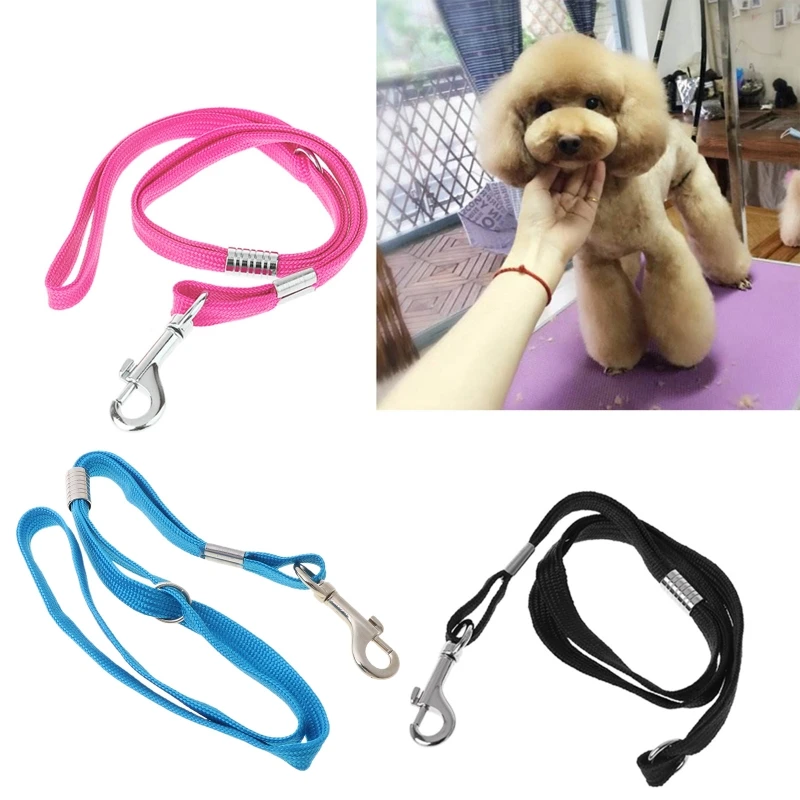 Cat Dog Grooming Loop Cable Rope Leashes Collars Harnesses Leads