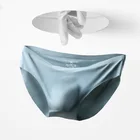 transparent panties