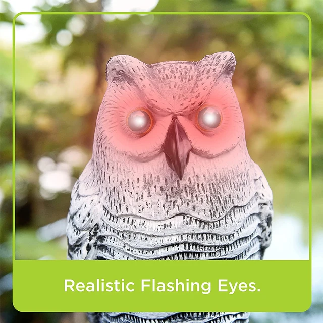 Bagoly Ijesztő Madárvezérlő Eszközök Vízálló Hamis Madárijesztő Villogó Szemmel Hang Élethű Owl Szobor - Image 3