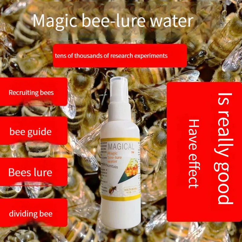 Attracting bee water [1 second queen bee comes] attract bees collect bees collect artifacts wild information beekeeping tools