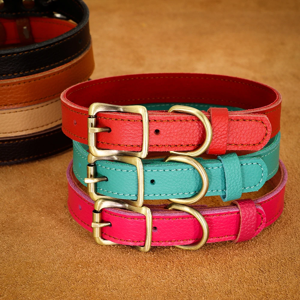 Punch dog collar