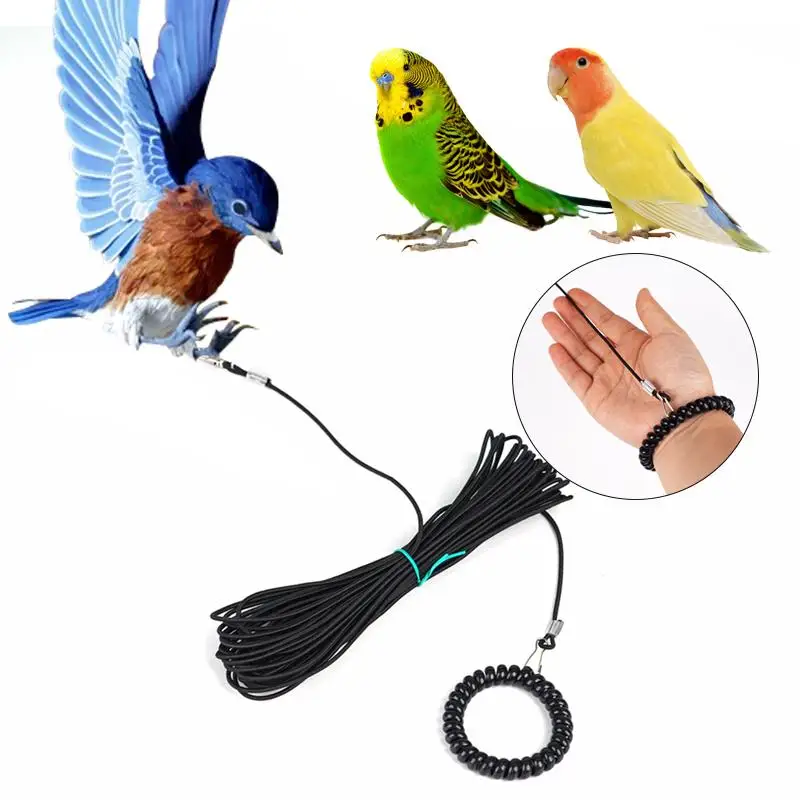 Bird Chain Sc76c6416690649d1bf9513dd3c5c9025h.jpg