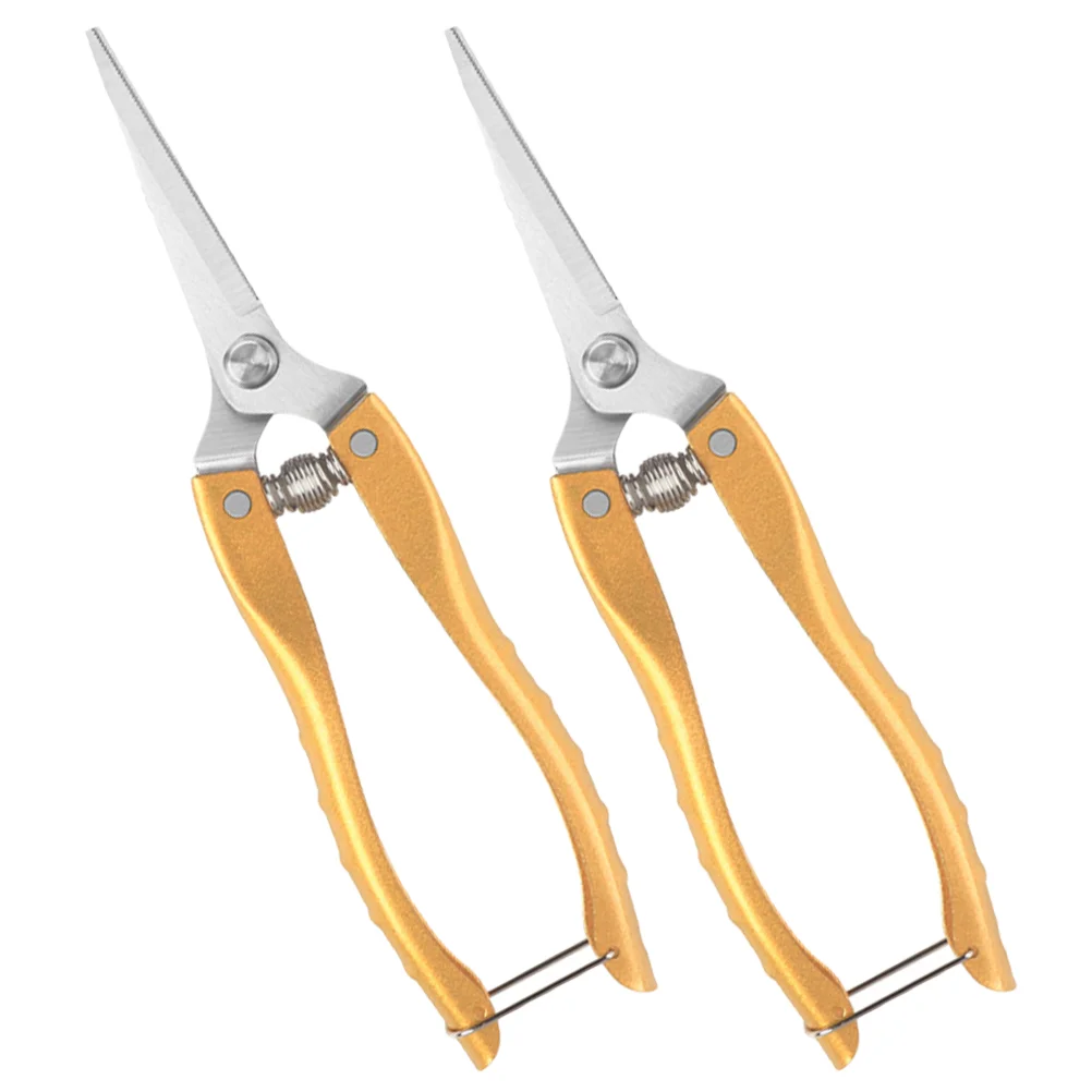2 Pcs Stainless Steel Garden Pruning Shears Ergonomic Handles Neat Cutting Scientific Angle Rust Proof Easy 4