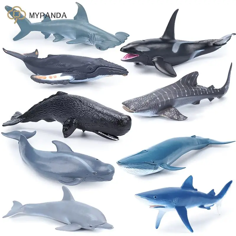 

Фигурки морских животных, имитация морского моря, Кита, Акула, Кашалот, экшн-фигурки, модель океана, дельфин, морской головы, развивающие игрушки