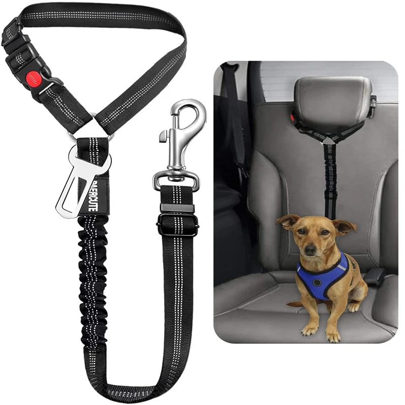 Genuine Leather Dog Leash - Self Tether Clip