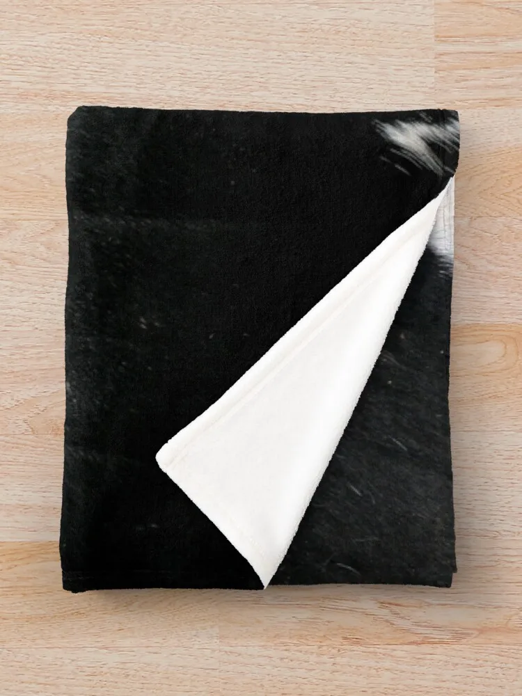 �ϼ� ����� ��� ������ ���, ķ�� ��� �ε巯�� ��� ǫ���ϰ� ǳ���� ������ ħ�� ���õ� ���Ÿ� St ���