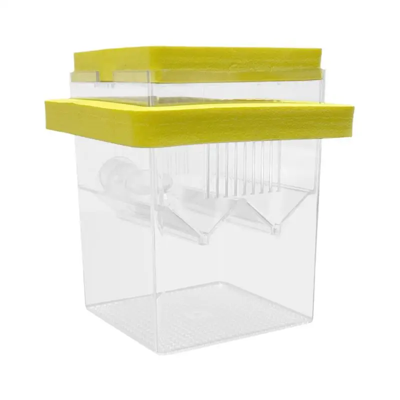 Fish Breeding Box Fish Breeding Box Floating Fish Hatchery Incubator Tank With Suction Cups Guppy Betta Isolation Box For Aquarium