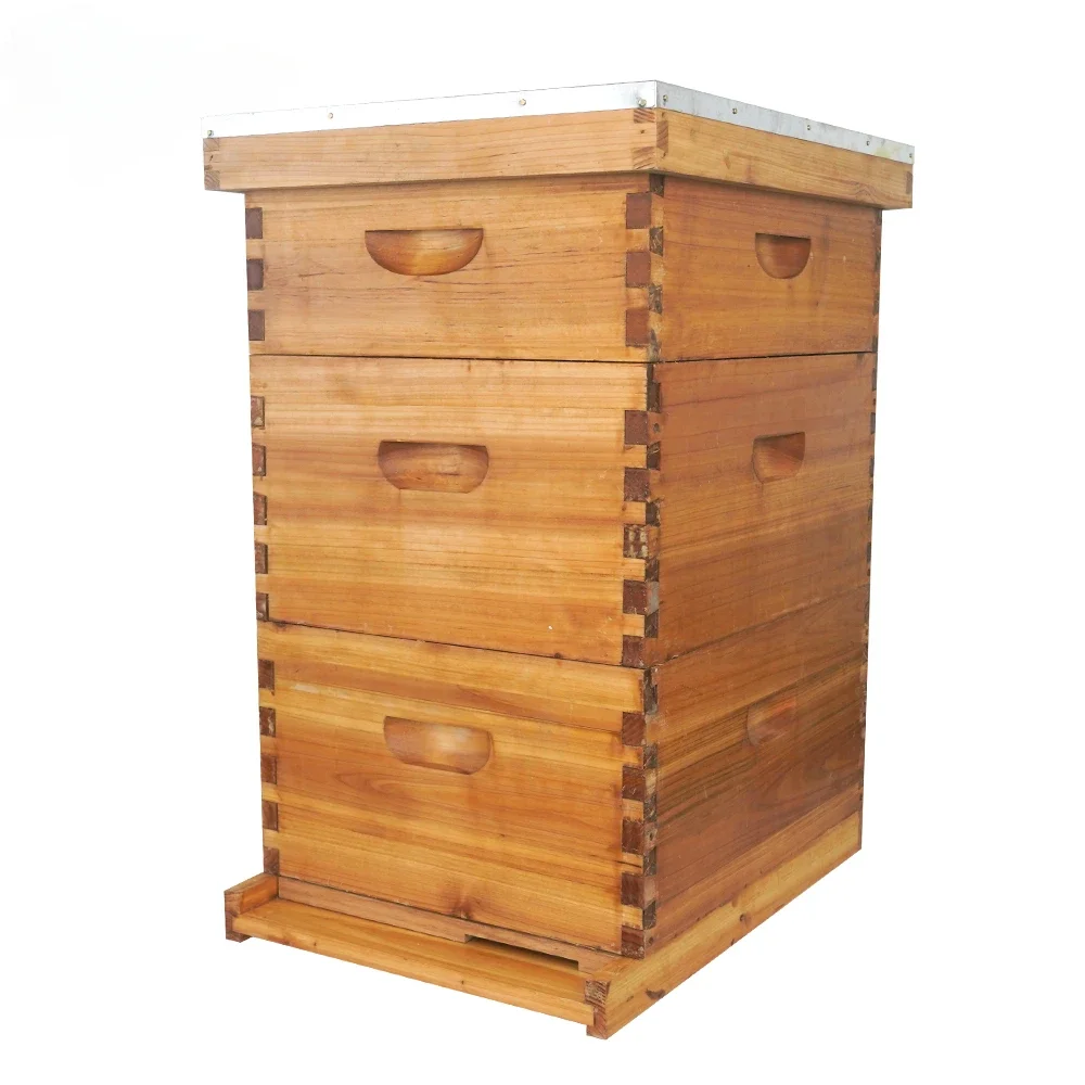 

Hot Sale Wax Coated Wooden Bee Hive Complete Langstroth Beehive 10 Frames